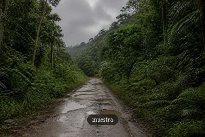 La vía de entrada al casco urbano.