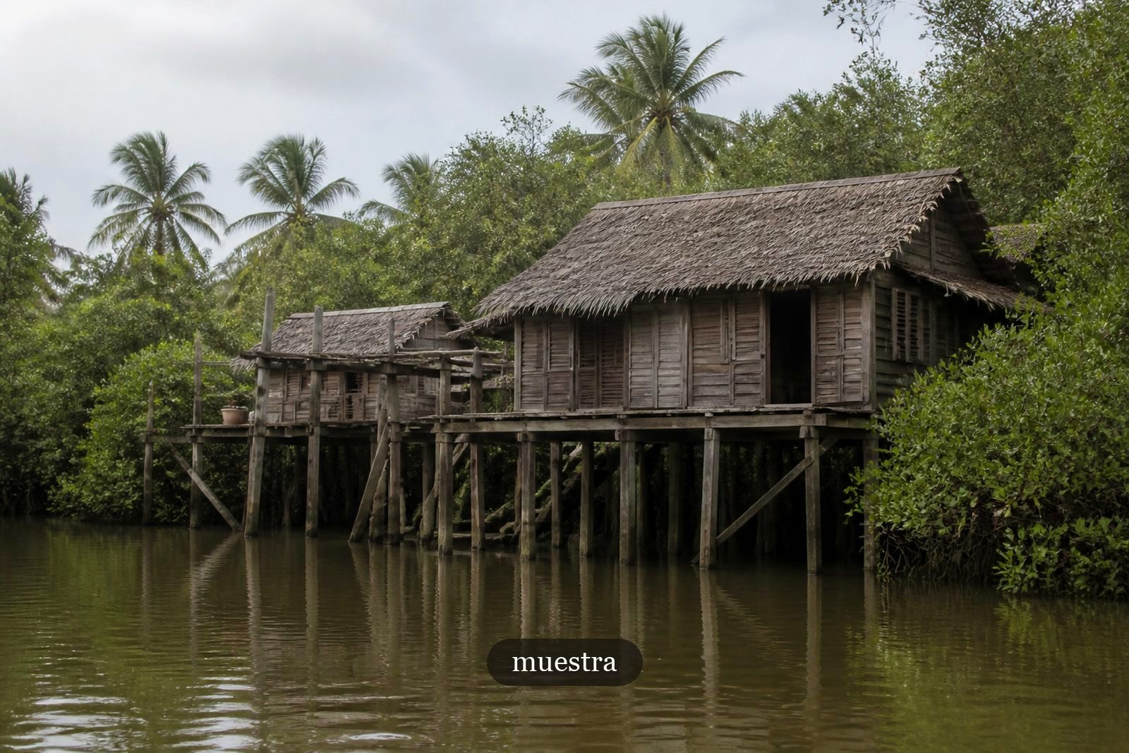 Su palafito, sobre el estero.